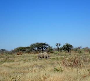 Etosha