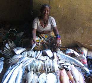 Fischmarkt in Negombo