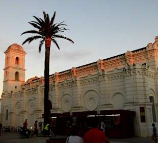 Conil
