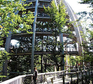 Baumwipfelweg in Neuschönau