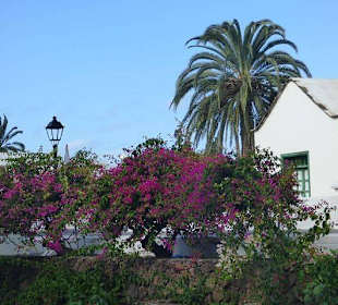 Yaiza