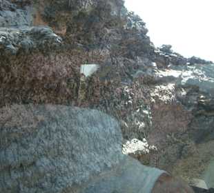 Busfahrt dicht an der Mauer