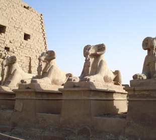 Hlídací sochy beranů