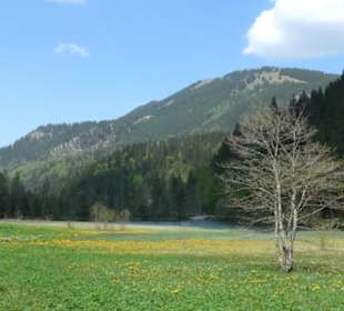 Berggasthof Lukas Alm