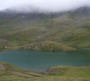 Bachalpsee 2265 m 