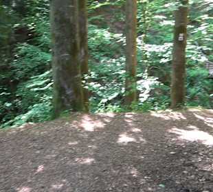 Griesbacher Wasserfälle Bad Griesbach