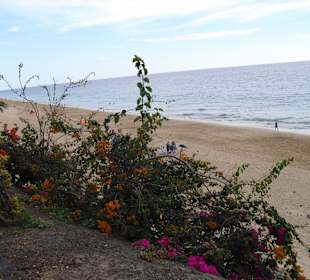 Blick zum Strand beim Spazieren