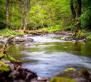 Wandern Geisfeld