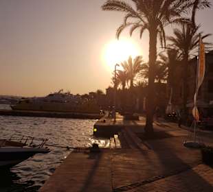 Am Hafen von Port Ghalib 