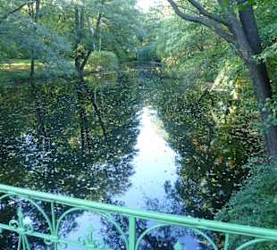 Pond in Berlin's main city park