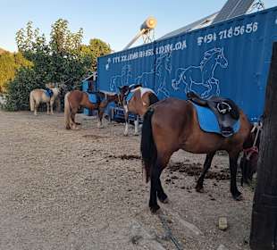 Zoraida's Horse Riding