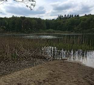 Nationalpark Müritz