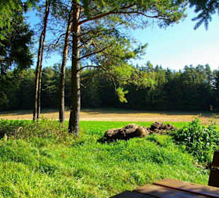 Wanderung zum Signalstein Fränk.Schweiz