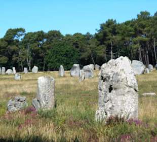 Hinkelstein-Feld Carnac