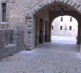 Jardi de la Magnolia