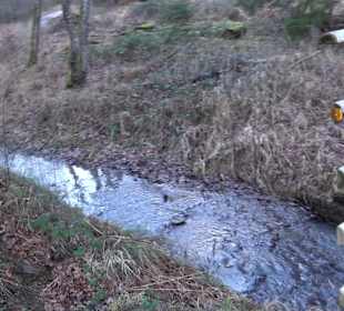 Ochsenweiher Rundweg