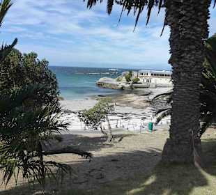 Kap der Guten Hoffnung