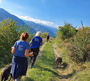 Wandern Sluderno / Schluderns