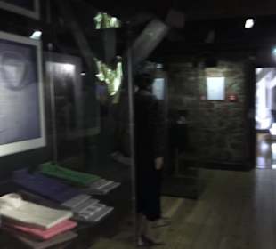 Theodor Zink Museum
