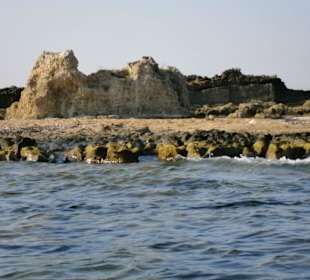 Mit Tretboot zur Schildkröteninsel 