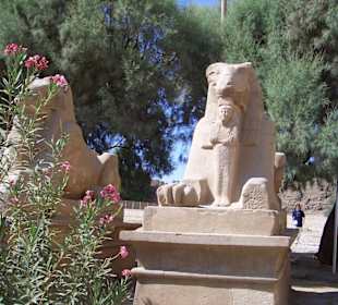 Widder-Allee am Karnak-Tempel