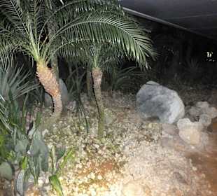 Ogród na dachu terminala