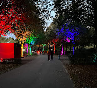 Herbstlichter Brückenkopfpark
