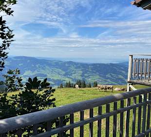 Wandern Lingenau