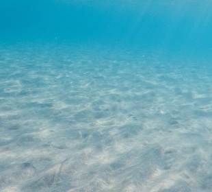 Schnorcheln Mastichari