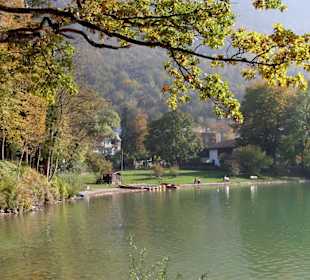 Goldener Oktober am Kochelsee