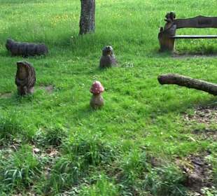 Naturerlebnisweg des NABU-Metzingen