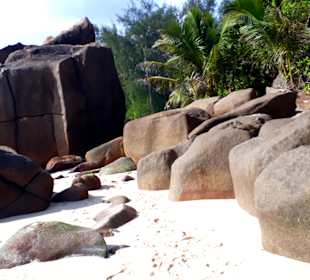 Anse Intendance