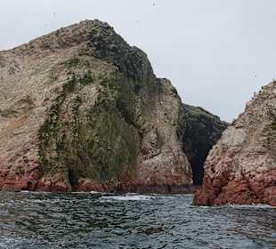 Ausflug Ballestas Inseln