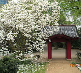 Jap. Garten LEV