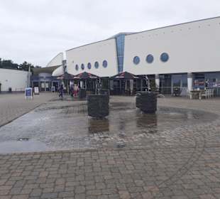 Seehundstation Norddeich in Norden,