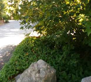 Botanischer Garten 