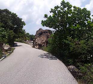 Ausflug mit Mario von Edelweiss Tours