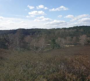 Fischbecker Heide Wanderwe 6