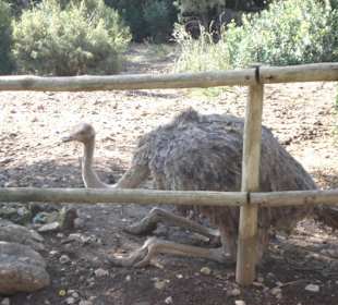 La Reseva - Parc de Natural