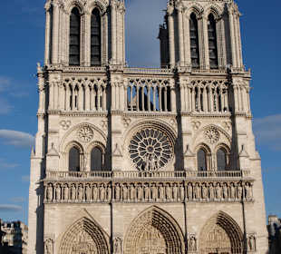 Katedra Notre Dame