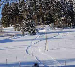 Wandern Neuhaus am Rennweg