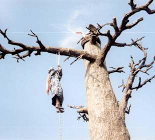 Ansichten aus dem Europapark in Rust