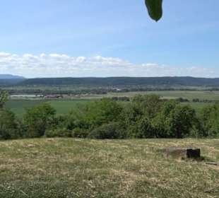 Früchtetrauf - Wurmlinger Kapellenwegle