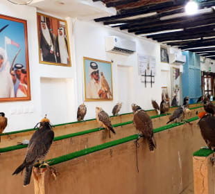 Falcon Souq