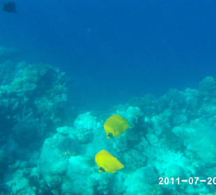 Rafa Hotelu Harmony Makadi