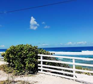 Ausblick aufs Meer von Light House