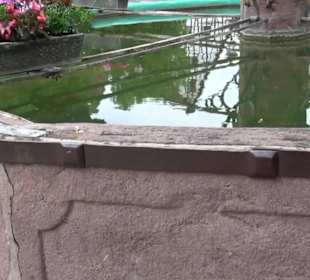 Jakobsbrunnen Dornstetten