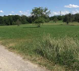 Eduard Lucas Musterobstgarten Mähringen