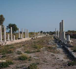 Archeologistics excavation