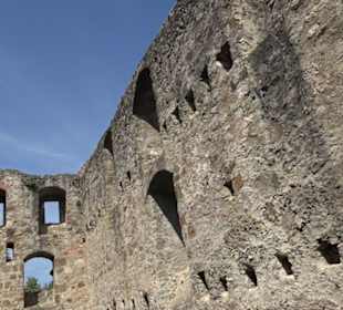 Burgruine Niederhaus